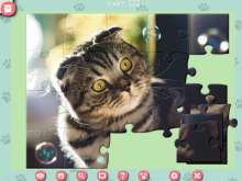 Скриншот «1001 Пазл. Милые коты»