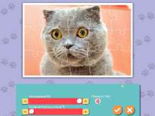 Скриншот «1001 Пазл. Милые коты 4»