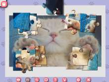 Скриншот «1001 Пазл. Милые коты 4»